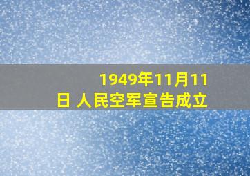 1949年11月11日 人民空军宣告成立